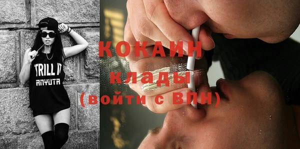 кокс Сосновый Бор