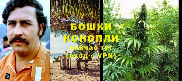 бутират Белокуриха