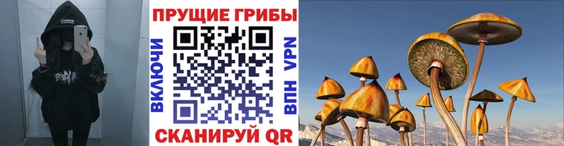 Галлюциногенные грибы MAGIC MUSHROOMS  Кулебаки 